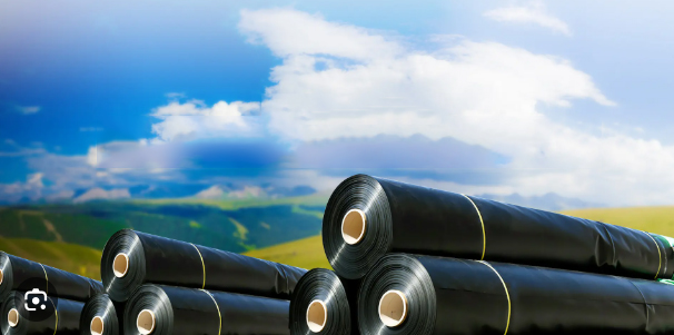 Qu'est-ce qu'une g&eacute;omembrane utilis&eacute;e pour