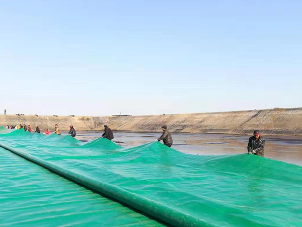 Digesteur de biogaz de ferme porcine dans le comté de Shanghe, Jinan, province du Shandong