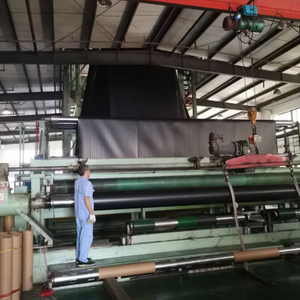 What is the life expectancy of a geomembrane.png