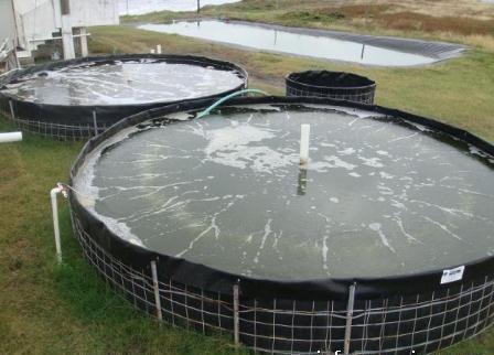 colombie agriculture ronde &eacute;tang 