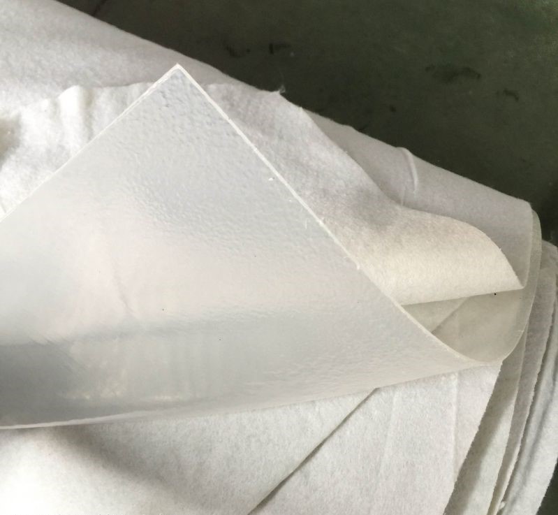 Géomembrane composite HDPE pour l'aquaculture de 40 mils